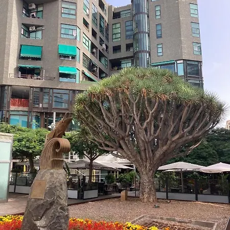 Park House * Σάντα Κρουζ Τενερίφης