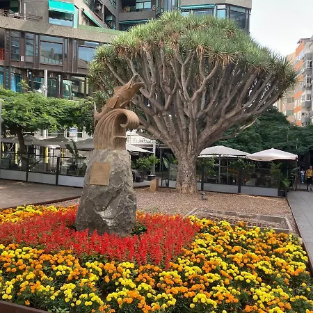 Park House * Santa Cruz de Tenerife